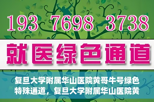 复旦大学附属华山医院黄哥牛号绿色特殊通道，复旦大学附属华山医院黄哥牛号，绿色特殊通道开启健康之门