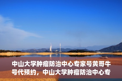 中山大学肿瘤防治中心专家号黄哥牛号代预约，中山大学肿瘤防治中心专家号预约服务解析，黄哥牛号代预约详解