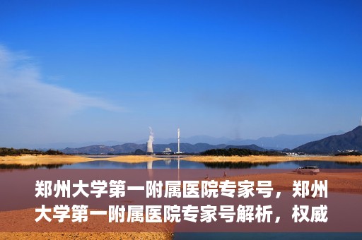 郑州大学第一附属医院专家号，郑州大学第一附属医院专家号解析，权威医疗团队的专业解读与诊疗之道
