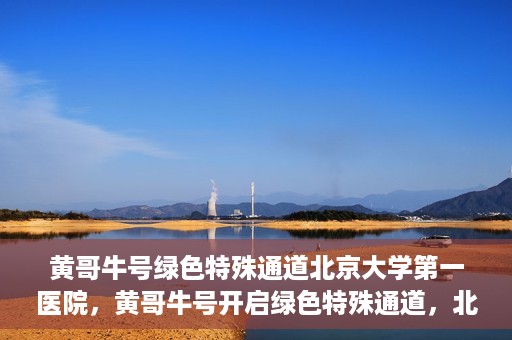 黄哥牛号绿色特殊通道北京大学第一医院，黄哥牛号开启绿色特殊通道，北京大学第一医院全力护航健康之路