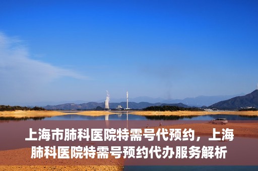 上海市肺科医院特需号代预约，上海肺科医院特需号预约代办服务解析