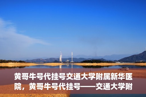 黄哥牛号代挂号交通大学附属新华医院，黄哥牛号代挂号——交通大学附属新华医院的健康护航之路
