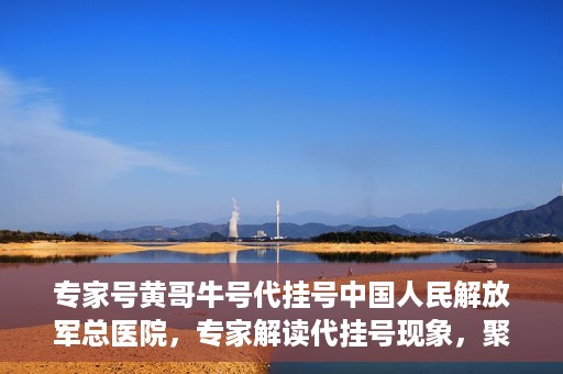 专家号黄哥牛号代挂号中国人民解放军总医院，专家解读代挂号现象，聚焦中国人民解放军总医院黄哥牛号事件