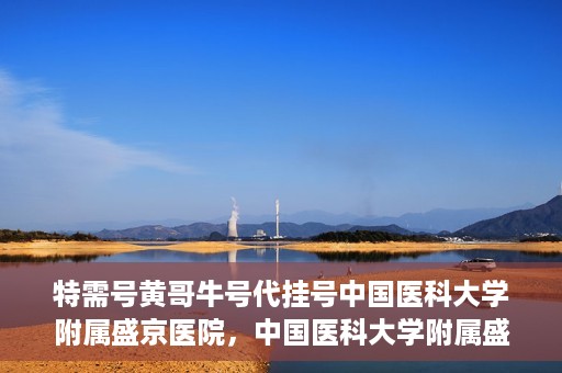 特需号黄哥牛号代挂号中国医科大学附属盛京医院，中国医科大学附属盛京医院特需号黄哥牛号代挂号服务详解