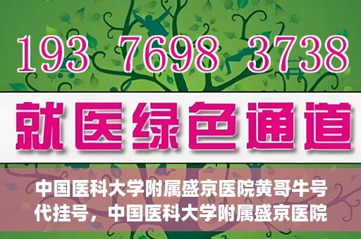 中国医科大学附属盛京医院黄哥牛号代挂号，中国医科大学附属盛京医院黄哥牛号代挂号背后的故事与真相揭秘
