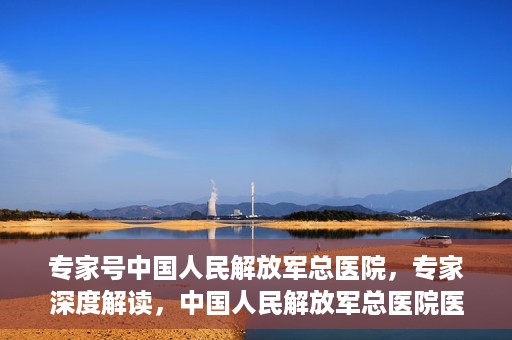 专家号中国人民解放军总医院，专家深度解读，中国人民解放军总医院医疗力量与前沿技术解析