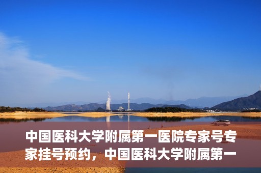 中国医科大学附属第一医院专家号专家挂号预约，中国医科大学附属第一医院专家挂号预约攻略，专业医师团队在线预约指导