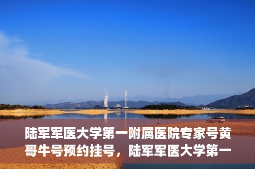 陆军军医大学第一附属医院专家号黄哥牛号预约挂号，陆军军医大学第一附属医院专家号黄哥牛号预约挂号攻略