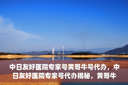 中日友好医院专家号黄哥牛号代办，中日友好医院专家号代办揭秘，黄哥牛号助您轻松预约专家资源