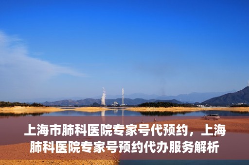 上海市肺科医院专家号代预约，上海肺科医院专家号预约代办服务解析