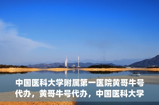 中国医科大学附属第一医院黄哥牛号代办，黄哥牛号代办，中国医科大学附属第一医院挂号服务新动向
