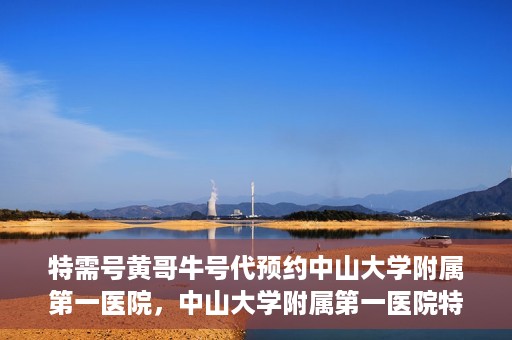 特需号黄哥牛号代预约中山大学附属第一医院，中山大学附属第一医院特需号黄哥牛号预约服务解析