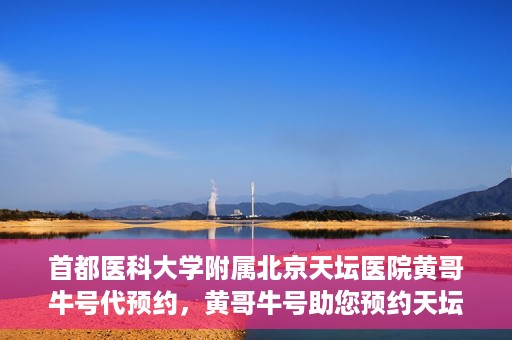 首都医科大学附属北京天坛医院黄哥牛号代预约，黄哥牛号助您预约天坛医院——权威医疗预约服务体验