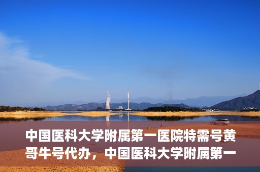 中国医科大学附属第一医院特需号黄哥牛号代办，中国医科大学附属第一医院特需号‘黄哥牛号’代办服务详解