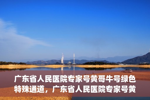 广东省人民医院专家号黄哥牛号绿色特殊通道，广东省人民医院专家号黄哥牛号，绿色特殊通道的医学关怀之路