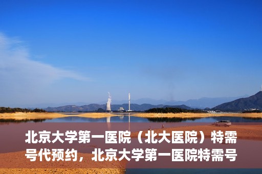 北京大学第一医院（北大医院）特需号代预约，北京大学第一医院特需号预约服务详解