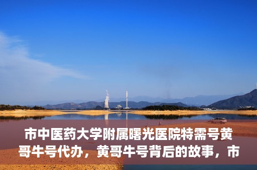 市中医药大学附属曙光医院特需号黄哥牛号代办，黄哥牛号背后的故事，市中医药大学附属曙光医院特需号代办揭秘