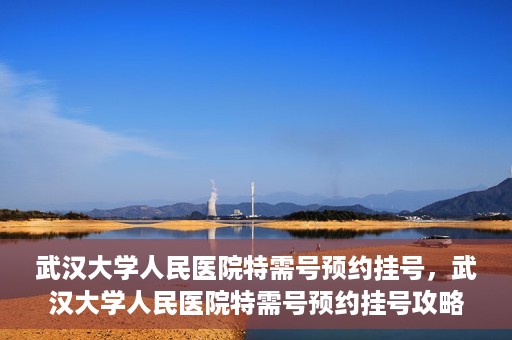 武汉大学人民医院特需号预约挂号，武汉大学人民医院特需号预约挂号攻略，一站式解决您的就医需求