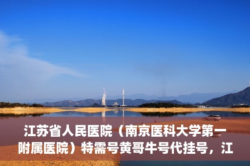 江苏省人民医院（南京医科大学第一附属医院）特需号黄哥牛号代挂号，江苏省人民医院特需号黄哥牛号代挂号服务解析