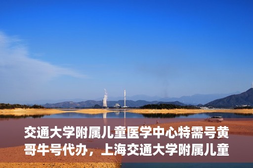 交通大学附属儿童医学中心特需号黄哥牛号代办，上海交通大学附属儿童医学中心特需号专家黄哥牛号预约代办服务解析