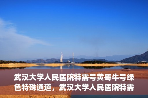 武汉大学人民医院特需号黄哥牛号绿色特殊通道，武汉大学人民医院特需号黄哥牛号，绿色就医特殊通道揭秘