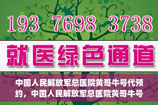 中国人民解放军总医院黄哥牛号代预约，中国人民解放军总医院黄哥牛号预约服务解析