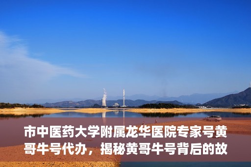 市中医药大学附属龙华医院专家号黄哥牛号代办，揭秘黄哥牛号背后的故事，龙华医院专家号代办背后的真相