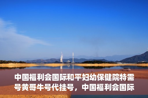 中国福利会国际和平妇幼保健院特需号黄哥牛号代挂号，中国福利会国际和平妇幼保健院特需号黄哥牛号代挂号服务解析