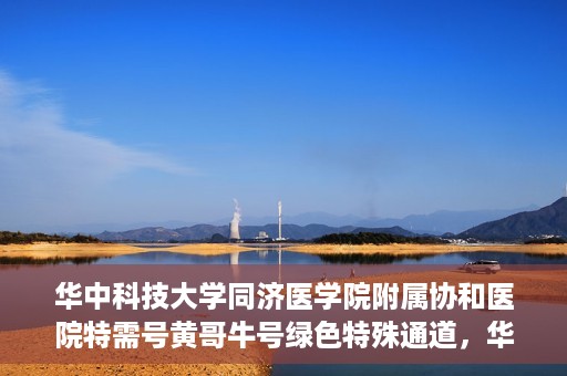 华中科技大学同济医学院附属协和医院特需号黄哥牛号绿色特殊通道，华中科技大学同济医学院附属协和医院特需号绿色通道，黄哥牛号引领医疗新风尚