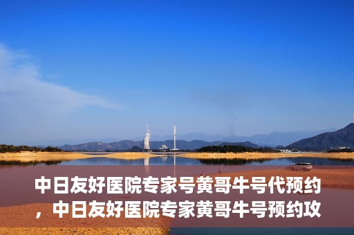 中日友好医院专家号黄哥牛号代预约，中日友好医院专家黄哥牛号预约攻略，一站式解决看病预约难题