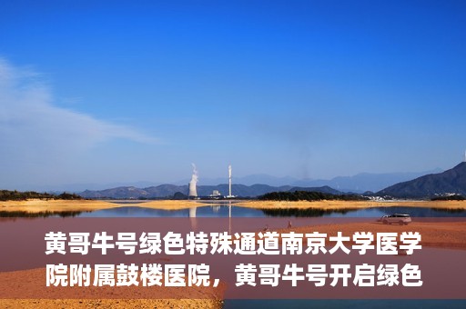黄哥牛号绿色特殊通道南京大学医学院附属鼓楼医院，黄哥牛号开启绿色特殊通道，鼓楼医院展现医疗新力量