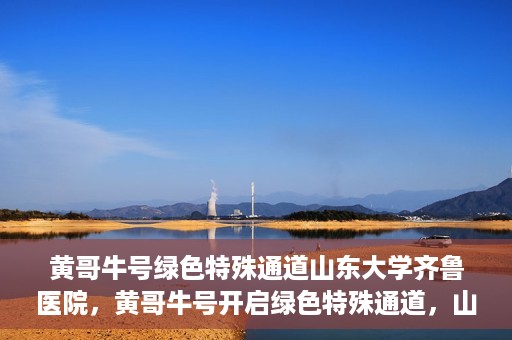 黄哥牛号绿色特殊通道山东大学齐鲁医院，黄哥牛号开启绿色特殊通道，山东大学齐鲁医院焕新篇章