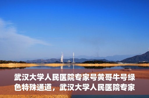 武汉大学人民医院专家号黄哥牛号绿色特殊通道，武汉大学人民医院专家黄哥牛号绿色通道揭秘