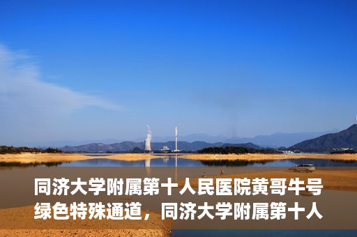 同济大学附属第十人民医院黄哥牛号绿色特殊通道，同济大学附属第十人民医院黄哥牛号，绿色特殊通道开启健康之门