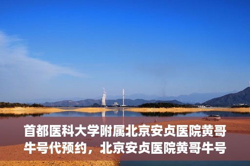 首都医科大学附属北京安贞医院黄哥牛号代预约，北京安贞医院黄哥牛号预约服务解析