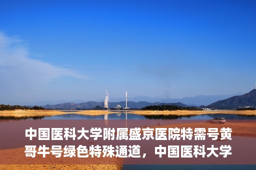中国医科大学附属盛京医院特需号黄哥牛号绿色特殊通道，中国医科大学附属盛京医院特需号黄哥牛号，绿色特殊通道揭秘