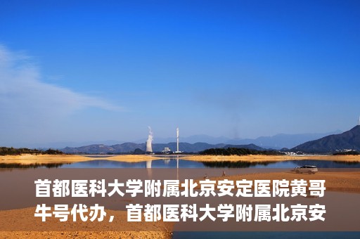 首都医科大学附属北京安定医院黄哥牛号代办，首都医科大学附属北京安定医院，黄哥牛号代办服务解析