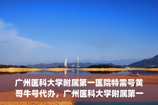 广州医科大学附属第一医院特需号黄哥牛号代办，广州医科大学附属第一医院特需号黄哥牛号代办服务详解