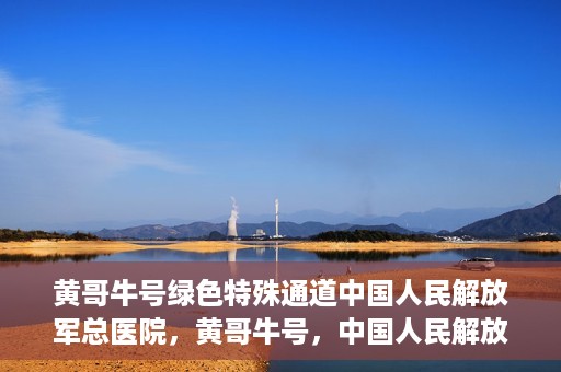黄哥牛号绿色特殊通道中国人民解放军总医院，黄哥牛号，中国人民解放军总医院开启绿色特殊通道助力健康中国