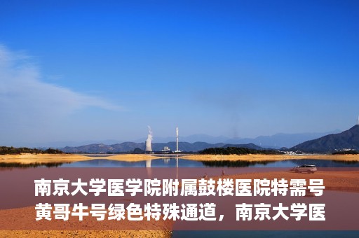 南京大学医学院附属鼓楼医院特需号黄哥牛号绿色特殊通道，南京大学医学院附属鼓楼医院特需号黄哥牛号，绿色特殊通道揭秘