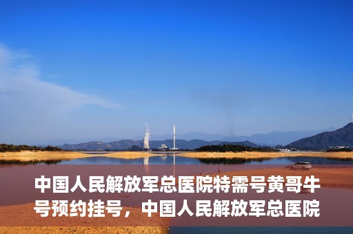 中国人民解放军总医院特需号黄哥牛号预约挂号，中国人民解放军总医院特需号专家黄哥牛号预约挂号攻略