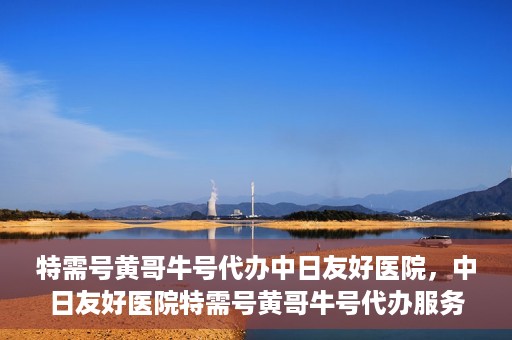 特需号黄哥牛号代办中日友好医院，中日友好医院特需号黄哥牛号代办服务详解