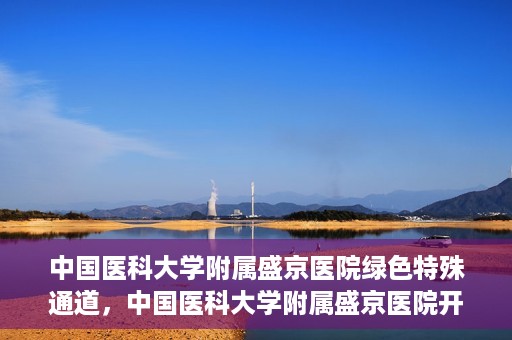 中国医科大学附属盛京医院绿色特殊通道，中国医科大学附属盛京医院开通绿色特殊通道，助力患者快速就医