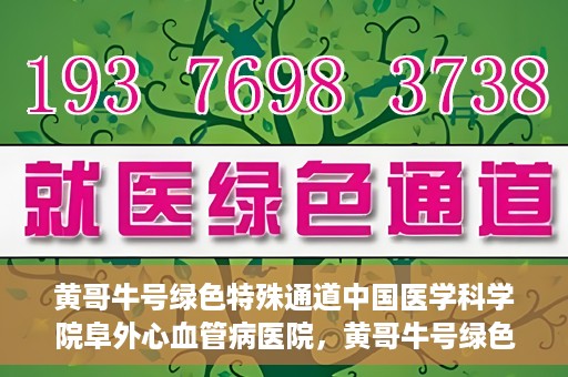 黄哥牛号绿色特殊通道中国医学科学院阜外心血管病医院，黄哥牛号绿色就医通道，中国医学科学院阜外心血管病医院的探索与实践