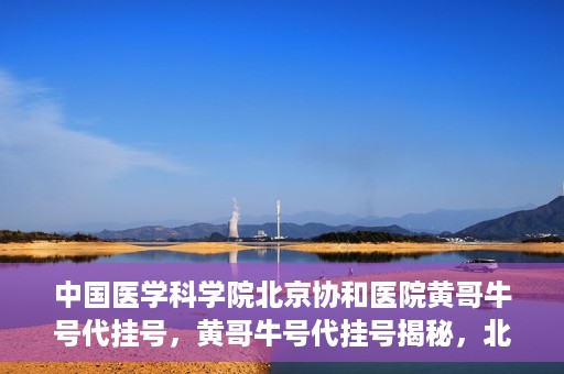 中国医学科学院北京协和医院黄哥牛号代挂号，黄哥牛号代挂号揭秘，北京协和医院挂号背后的故事