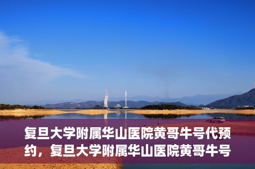 复旦大学附属华山医院黄哥牛号代预约，复旦大学附属华山医院黄哥牛号预约服务解析