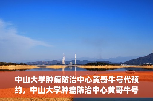中山大学肿瘤防治中心黄哥牛号代预约，中山大学肿瘤防治中心黄哥牛号预约服务启动