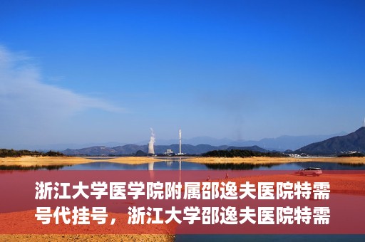 浙江大学医学院附属邵逸夫医院特需号代挂号，浙江大学邵逸夫医院特需号代挂号服务解析