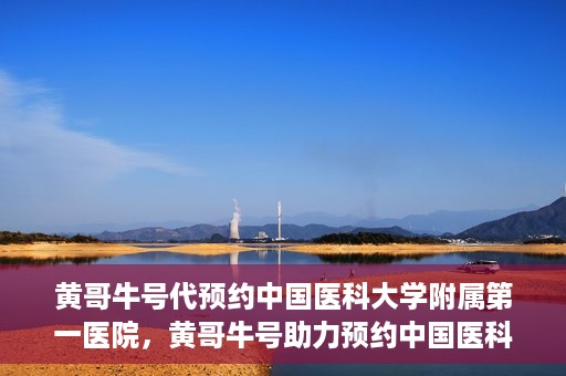 黄哥牛号代预约中国医科大学附属第一医院，黄哥牛号助力预约中国医科大学附属第一医院专家号