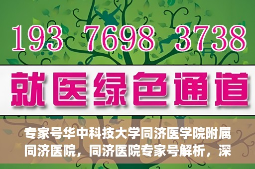 专家号华中科技大学同济医学院附属同济医院，同济医院专家号解析，深度解读医疗技术与学科优势